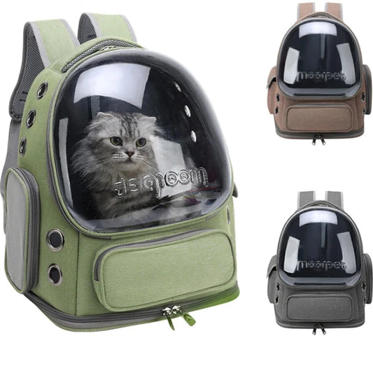 Transparent Pet Carrier Bag