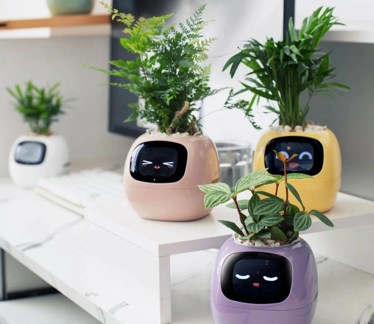 Smart planter for fun and connected plants