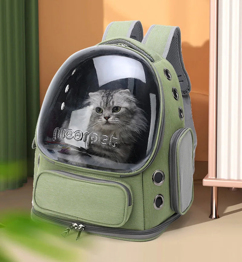 Transparent Pet Carrier Bag
