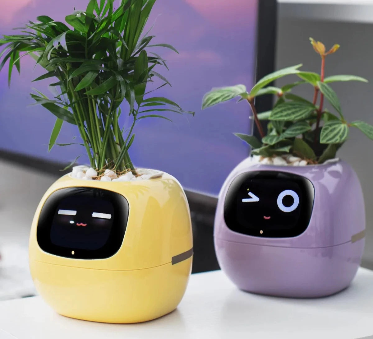 Smart planter for fun and connected plants