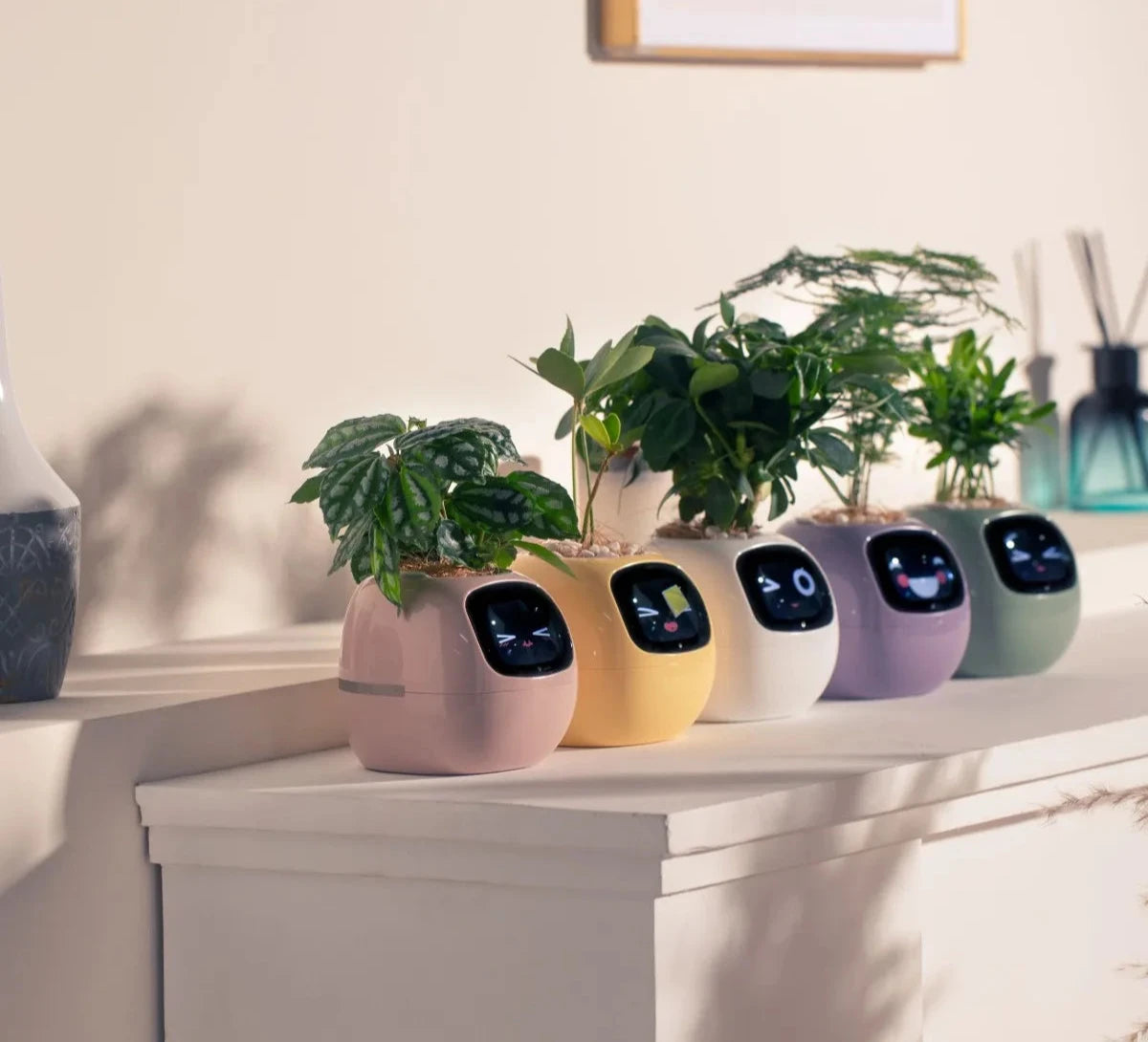 Smart planter for fun and connected plants