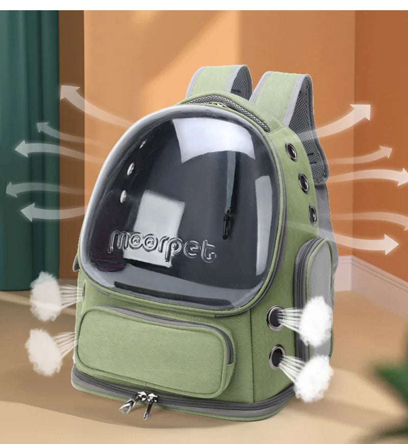 Transparent Pet Carrier Bag