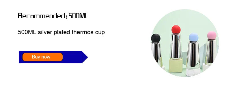 Tasse Thermos 500ML sous vide en acier inoxydable et design moderne